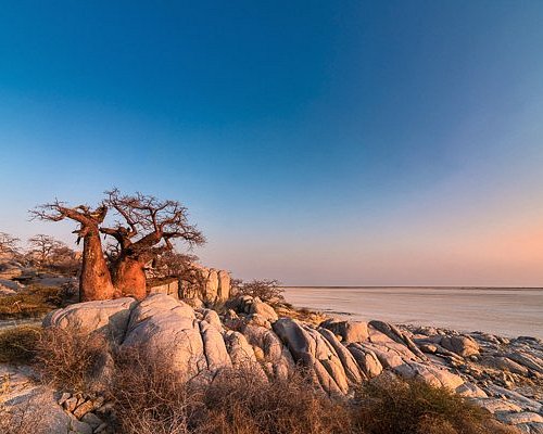 Nxai Pan National Park, Botswana